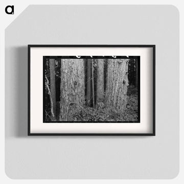 Long Bell Lumber Company Trees
 - ラッセル リー Poster.