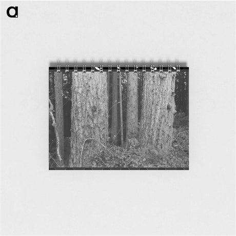 アートメモ帳-Long Bell Lumber Company Trees
 - ラッセル リー Memo.