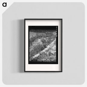 アートポスター-Trees Along a Texas Creek
 - ラッセル リー Poster.