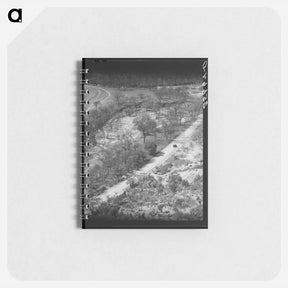 アートメモ帳-Trees Along a Texas Creek
 - ラッセル リー Memo.