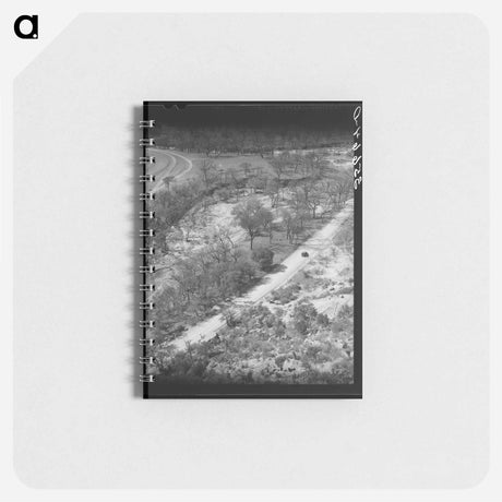 アートメモ帳-Trees Along a Texas Creek
 - ラッセル リー Memo.