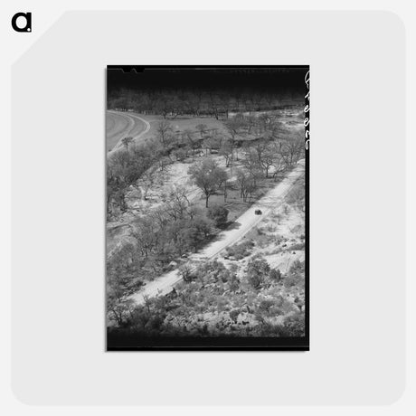 アートポストカード-Trees Along a Texas Creek
 - ラッセル リー Postcard.