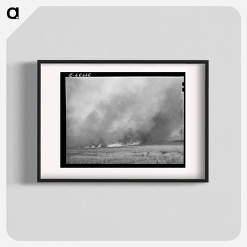 Wheat Stubble Burning
 - ラッセル リー Poster.