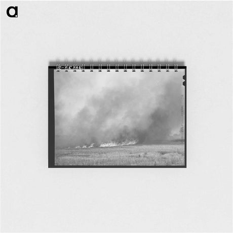 アートメモ帳-Wheat Stubble Burning
 - ラッセル リー Memo.