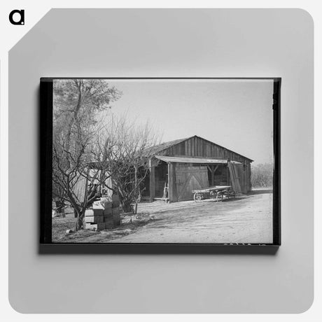 アートパネル-Fruit Farmer's Barn
 - ラッセル リー Canvas.