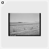 アートポストカード-Barley in the Shock
 - ラッセル リー Postcard.
