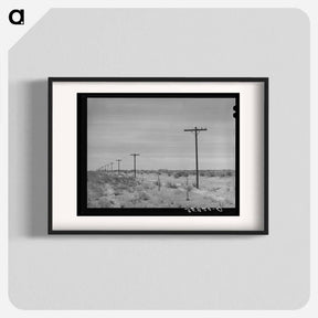 アートポスター-Telephone Poles, Gaines County
 - ラッセル リー Poster.