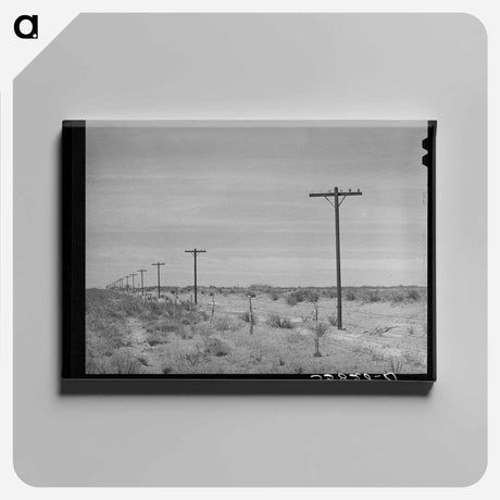アートパネル-Telephone Poles, Gaines County
 - ラッセル リー Canvas.
