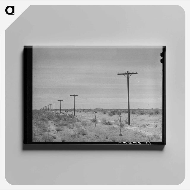 アートパネル-Telephone Poles, Gaines County
 - ラッセル リー Canvas.