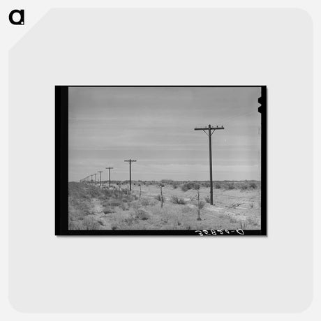 アートポストカード-Telephone Poles, Gaines County
 - ラッセル リー Postcard.