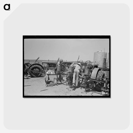 アートポストカード-Texas Farmhand
 - ラッセル リー Postcard.