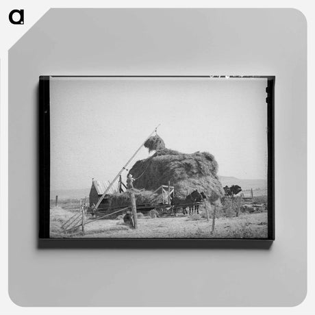 アートパネル-Mormon Hay Stacker
 - ラッセル リー Canvas.