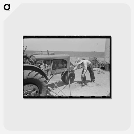 アートポストカード-Tractor Tire, Texas Farm
 - ラッセル リー Postcard.