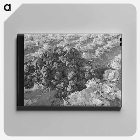 アートパネル-Fertilizer in Cabbage Field
 - ラッセル リー Canvas.