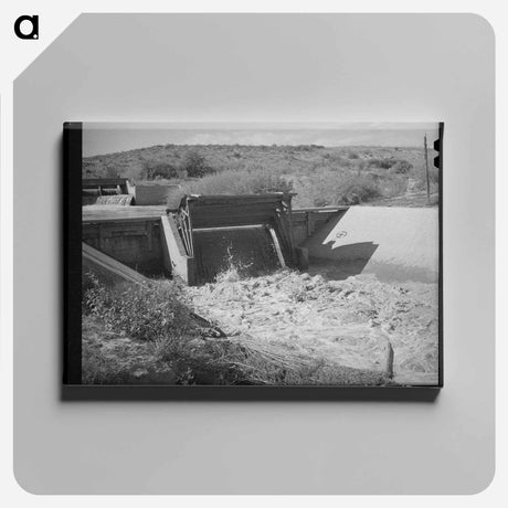 アートパネル-Irrigation Canal, Bernalillo
 - ラッセル リー Canvas.