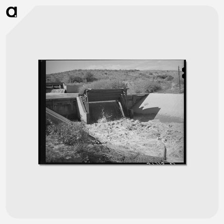 アートポストカード-Irrigation Canal, Bernalillo
 - ラッセル リー Postcard.