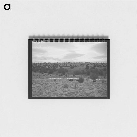 アートメモ帳-The rangeland. Concho, Arizona
 - ラッセル リー Memo.