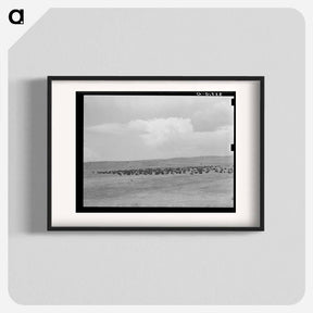 アートポスター-Cattle Roundup Near Marfa
 - ラッセル リー Poster.