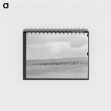 アートメモ帳-Cattle Roundup Near Marfa
 - ラッセル リー Memo.