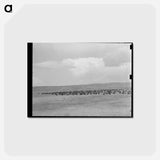 アートポストカード-Cattle Roundup Near Marfa
 - ラッセル リー Postcard.