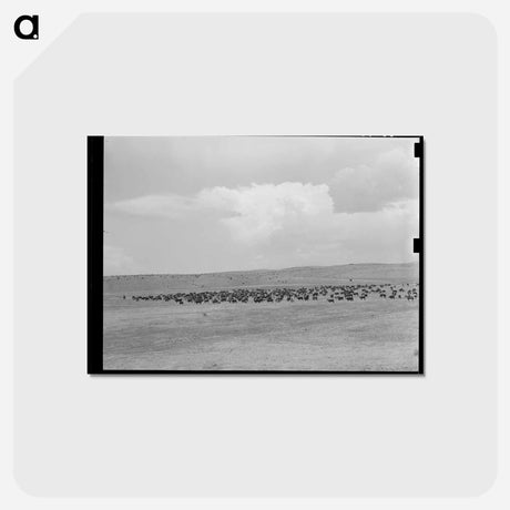 アートポストカード-Cattle Roundup Near Marfa
 - ラッセル リー Postcard.
