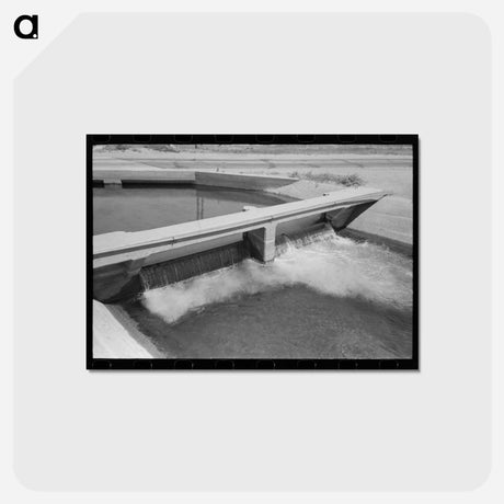 アートポストカード-Maricopa Irrigation Ditch
 - ラッセル リー Postcard.