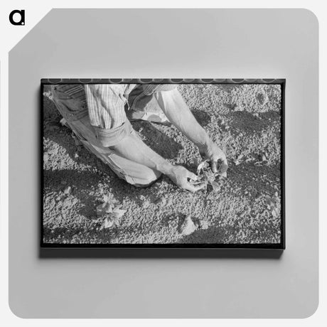 アートパネル-Farmer and Bean Plant
 - ラッセル リー Canvas.