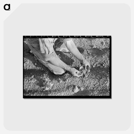 アートポストカード-Farmer and Bean Plant
 - ラッセル リー Postcard.