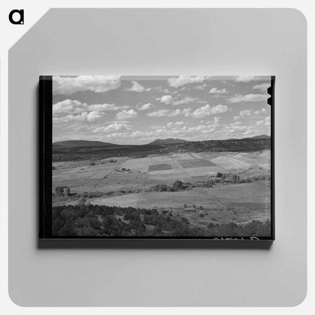 アートパネル-Strip Farming near San Cristobal
 - ラッセル リー Canvas.