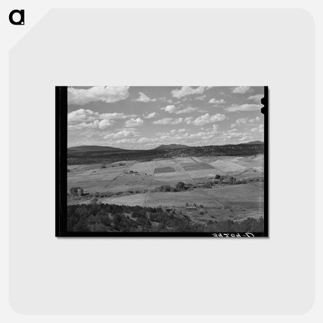 アートポストカード-Strip Farming near San Cristobal
 - ラッセル リー Postcard.