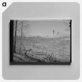 アートパネル-Cut-over Forest Land
 - ラッセル リー Canvas.