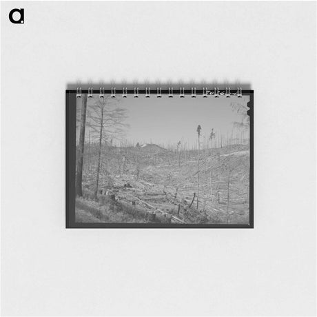 アートメモ帳-Cut-over Forest Land
 - ラッセル リー Memo.