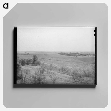 アートパネル-Farming Land in Mills County
 - ラッセル リー Canvas.