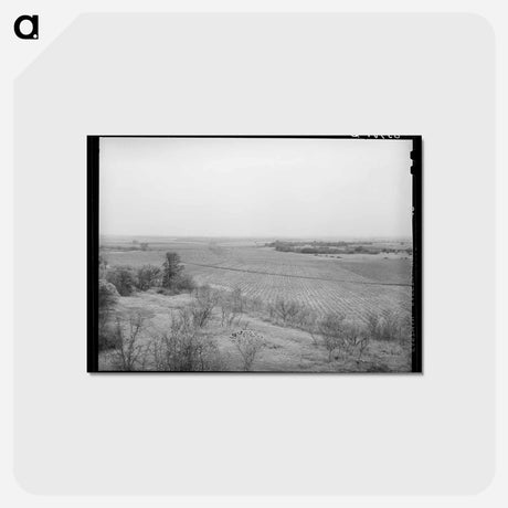 アートポストカード-Farming Land in Mills County
 - ラッセル リー Postcard.