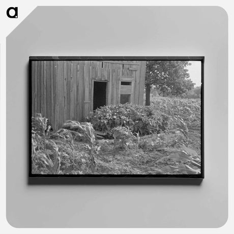 アートパネル-Abandoned House, McIntosh County
 - ラッセル リー Canvas.