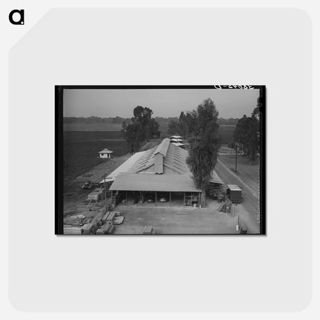 アートポストカード-Warehouse at Mineral King Cooperative Farm
 - ラッセル リー Postcard.