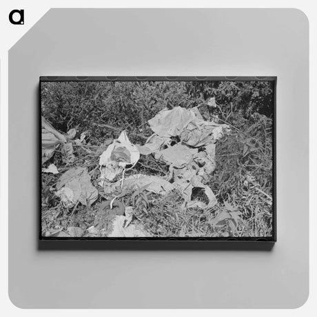 アートパネル-White Tenant Farmer's Clothes
 - ラッセル リー Canvas.