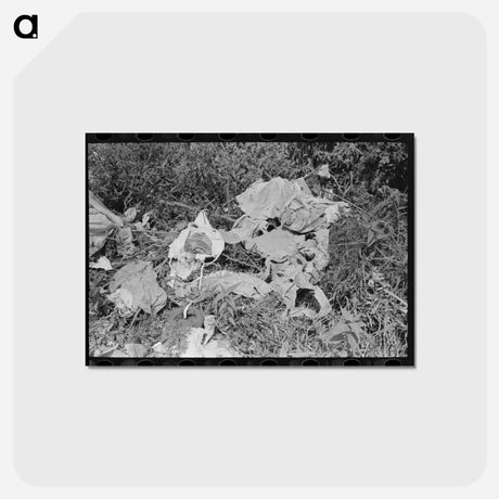 アートポストカード-White Tenant Farmer's Clothes
 - ラッセル リー Postcard.