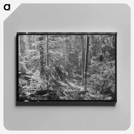 アートパネル-Long Bell Lumber Company, Cowlitz County, Washington
 - ラッセル リー Canvas.