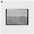 アートポストカード-Cruzen Ranch Fence
 - ラッセル リー Postcard.