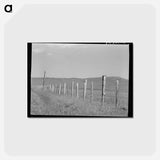 アートポストカード-Cruzen Ranch Fence
 - ラッセル リー Postcard.