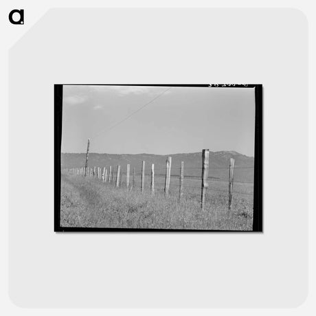 アートポストカード-Cruzen Ranch Fence
 - ラッセル リー Postcard.