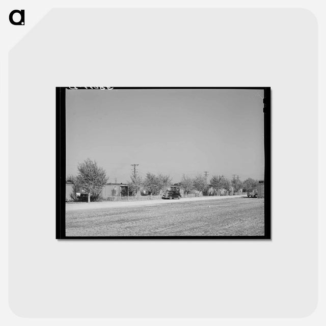 アートポストカード-Boxcar Homes
 - ラッセル リー Postcard.