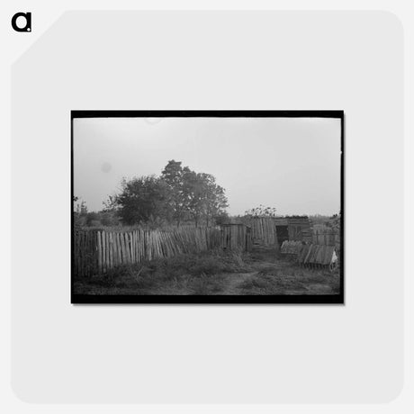 アートポストカード-Primitive Guard
 - ラッセル リー Postcard.