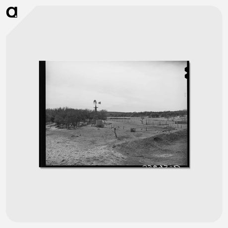 アートポストカード-Texas Ranch
 - ラッセル リー Postcard.