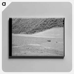 アートパネル-Mountain Hay Field
 - ラッセル リー Canvas.
