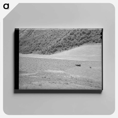 アートパネル-Mountain Hay Field
 - ラッセル リー Canvas.