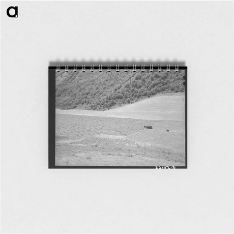 アートメモ帳-Mountain Hay Field
 - ラッセル リー Memo.