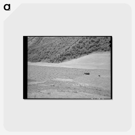 アートポストカード-Mountain Hay Field
 - ラッセル リー Postcard.