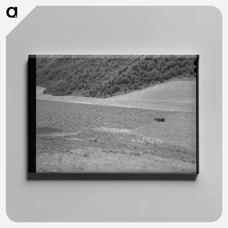 アートパネル-Mountain Hay Field
 - ラッセル リー Canvas.